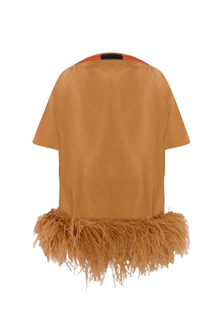 Viscose Top With Feathers